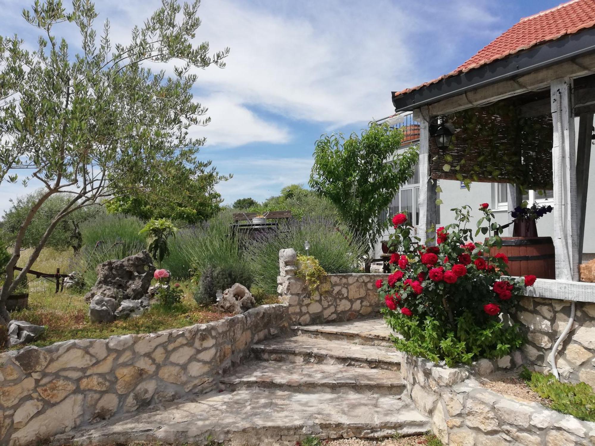 Apartmani Goga Skradin Exteriör bild